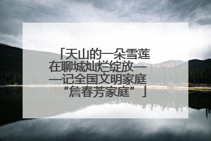 天山的一朵雪莲在聊城灿烂绽放——记全国文明家庭“詹春芳家庭”