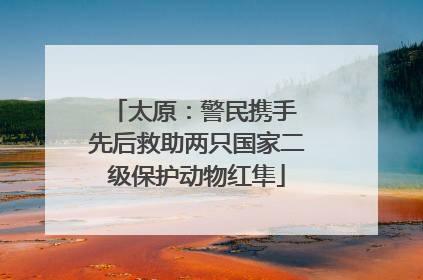 太原：警民携手 先后救助两只国家二级保护动物红隼