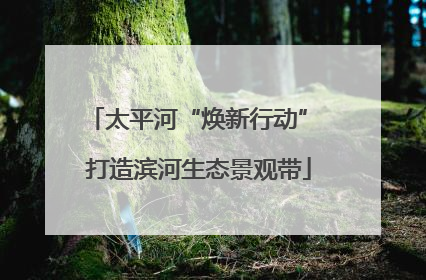 太平河“焕新行动” 打造滨河生态景观带
