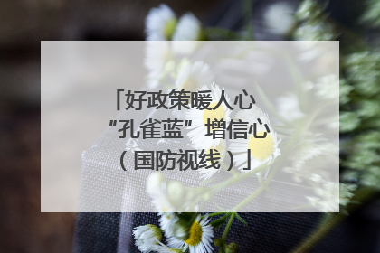 好政策暖人心 “孔雀蓝”增信心（国防视线）