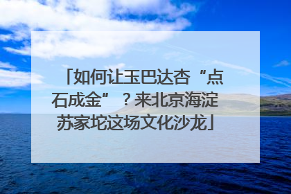 如何让玉巴达杏“点石成金”？来北京海淀苏家坨这场文化沙龙