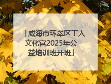 威海市环翠区工人文化宫2025年公益培训班开班