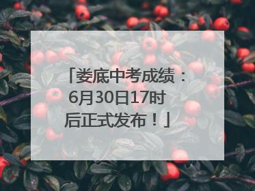 娄底中考成绩：6月30日17时后正式发布！