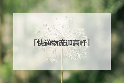 快递物流迎高峰