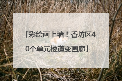彩绘画上墙！香坊区40个单元楼道变画廊