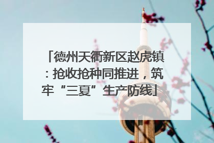 德州天衢新区赵虎镇：抢收抢种同推进，筑牢“三夏”生产防线