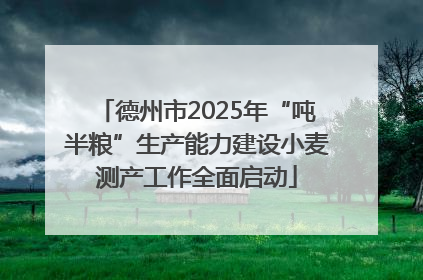 德州市2025年“吨半粮”生产能力建设小麦测产工作全面启动