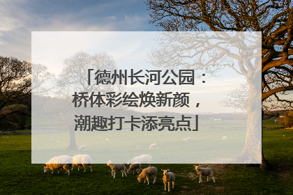 德州长河公园：桥体彩绘焕新颜，潮趣打卡添亮点