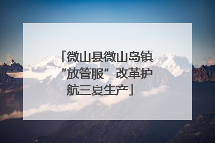 微山县微山岛镇“放管服”改革护航三夏生产