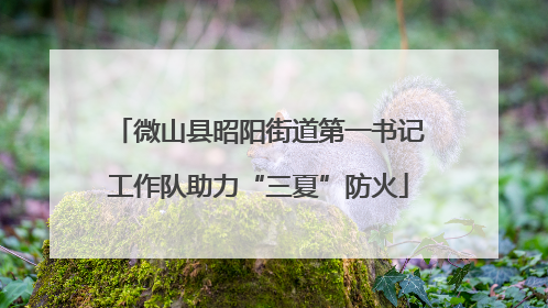 微山县昭阳街道第一书记工作队助力“三夏”防火