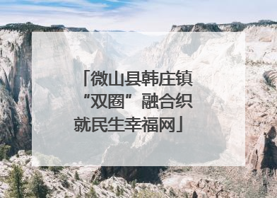 微山县韩庄镇“双圈”融合织就民生幸福网