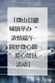 微山县驩城镇举办“浓情端午·圆梦微心愿”爱心帮扶活动
