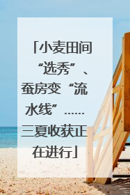 小麦田间“选秀”、蚕房变“流水线”……三夏收获正在进行
