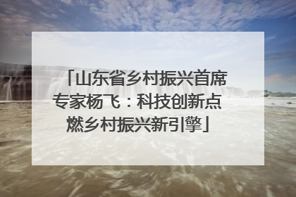 山东省乡村振兴首席专家杨飞：科技创新点燃乡村振兴新引擎