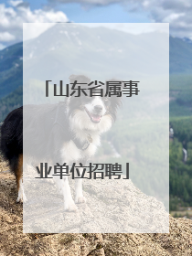 山东省属事业单位招聘