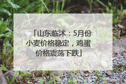 山东临沭：5月份小麦价格稳定，鸡蛋价格震荡下跌