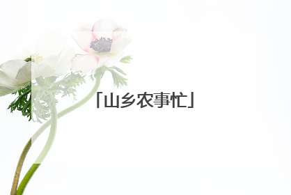 山乡农事忙