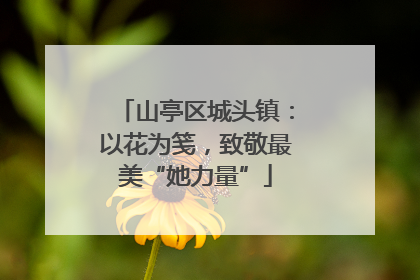 山亭区城头镇：以花为笺，致敬最美“她力量”