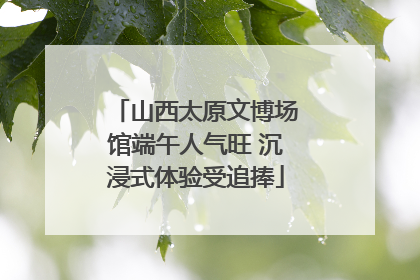 山西太原文博场馆端午人气旺 沉浸式体验受追捧