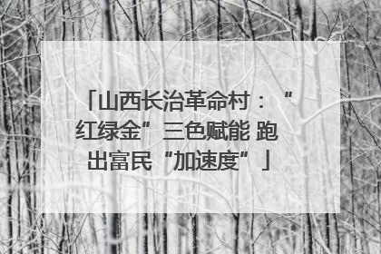 山西长治革命村：“红绿金”三色赋能 跑出富民“加速度”