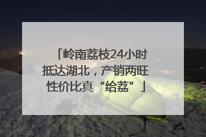 岭南荔枝24小时抵达湖北，产销两旺性价比真“给荔”