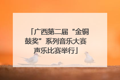 广西第二届“金铜鼓奖”系列音乐大赛声乐比赛举行