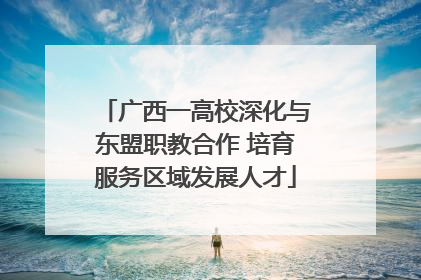 广西一高校深化与东盟职教合作 培育服务区域发展人才