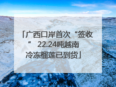 广西口岸首次“签收” 22.24吨越南冷冻榴莲已到货