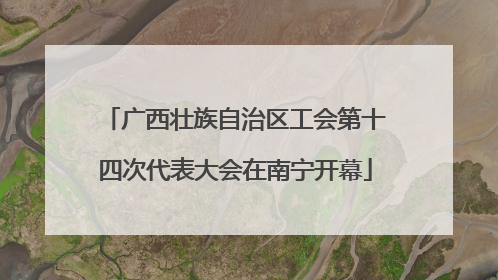 广西壮族自治区工会第十四次代表大会在南宁开幕