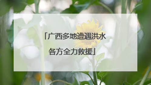 广西多地遭遇洪水 各方全力救援