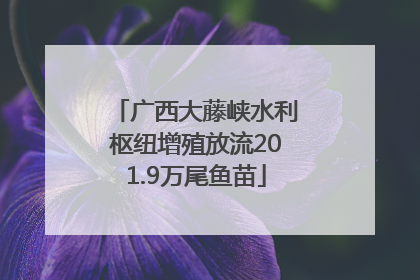 广西大藤峡水利枢纽增殖放流201.9万尾鱼苗