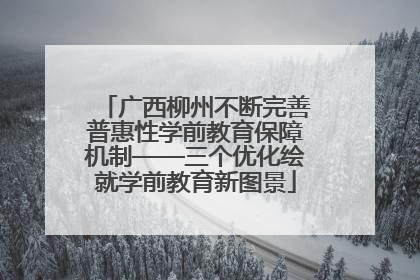 广西柳州不断完善普惠性学前教育保障机制——三个优化绘就学前教育新图景