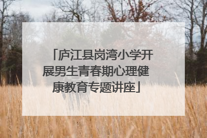 庐江县岗湾小学开展男生青春期心理健康教育专题讲座