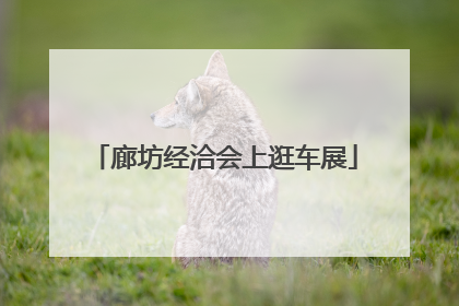 廊坊经洽会上逛车展