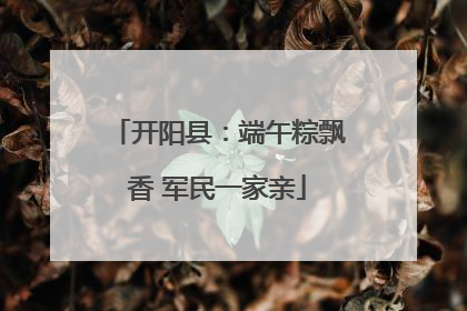 开阳县：端午粽飘香 军民一家亲