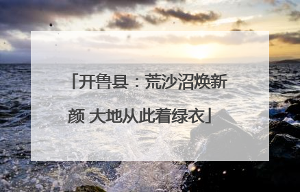 开鲁县：荒沙沼焕新颜 大地从此着绿衣