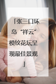 张三口环岛“祥云”模纹花坛呈现最佳景观