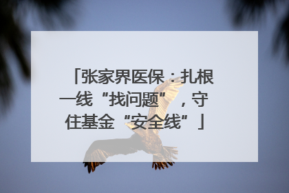 张家界医保：扎根一线“找问题”，守住基金“安全线”