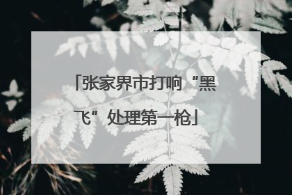 张家界市打响“黑飞”处理第一枪