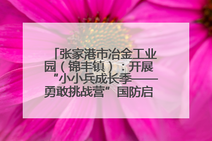 张家港市冶金工业园（锦丰镇）：开展“小小兵成长季——勇敢挑战营”国防启蒙教育活动