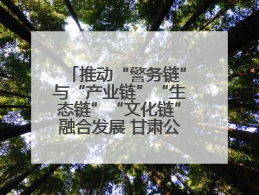 推动“警务链”与“产业链”“生态链”“文化链”融合发展 甘肃公安打造陇原旅游警务品牌