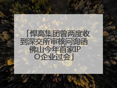 悍高集团曾两度收到深交所审核问询函 佛山今年首家IPO企业过会