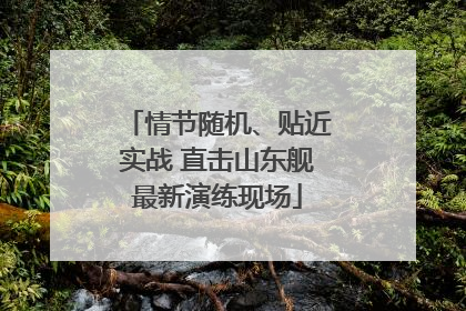 情节随机、贴近实战 直击山东舰最新演练现场