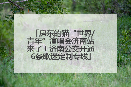 房东的猫“世界/青年”演唱会济南站来了！济南公交开通6条歌迷定制专线