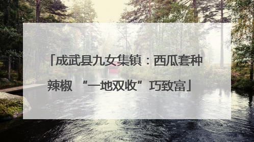 成武县九女集镇：西瓜套种辣椒 “一地双收”巧致富