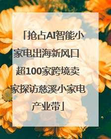 抢占AI智能小家电出海新风口 超100家跨境卖家探访慈溪小家电产业带