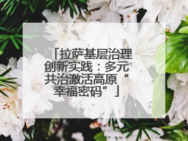 拉萨基层治理创新实践：多元共治激活高原“幸福密码”