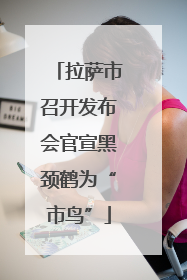 拉萨市召开发布会官宣黑颈鹤为“市鸟”