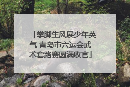 拳脚生风展少年英气 青岛市六运会武术套路赛圆满收官