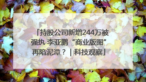 持股公司新增244万被强执 李亚鹏“商业版图”再陷泥潭？｜科技观察